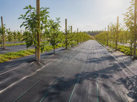 PP woven weed control mat used outdoors under strong sunlight in agricultural fields